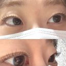 라은속눈썹