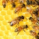 곡성농장 이미지