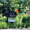 세쌍둥이네 풀꽃세상 이미지