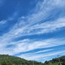 패디필드358 이미지