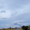 핼시랜드 이미지