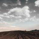 왕왕공인중개사사무소 이미지