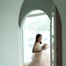 다니스튜디오 이미지