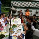 오색로뎀나무아래 이미지