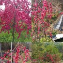 대명농장 이미지