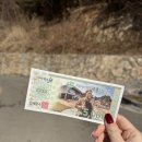 인제17-3 | 국내 겨울 여행 인제 자작나무숲 26년 1월 17일 방문후기 아이젠 준비물 주차장