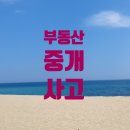 짱짱부동산중개 이미지