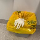 프로젝트엘비스 이미지