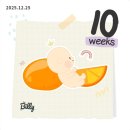 배스킨라빈스대전 - 서구 갈마로 262 | 이야기 / 아기의 성별이 궁금해! / 홍이맘, 장꾸맘 후기 / 배스킨라빈스 젠더리빌, 봄빛병원 니프티검사