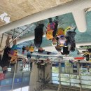 충청남도 천안시누리별장애인복지관 이미지