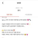 서른살나의펫2 네이버블로그
