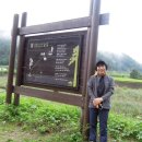 금강송계곡민박 이미지