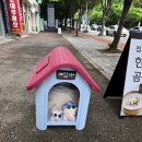해운대 좌동 정육점 부산한우선물세트로 유명한 예담축산 포장 후기