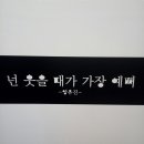 미스터김밥 이미지