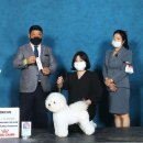 리트그룸 이미지