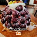 광주 동명동 빙수 맛집 소뇨｜여름 한정 생체리빙수 내돈내산 후기🍒