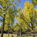 달성공원 이미지