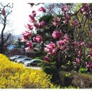 봄의언덕 이미지