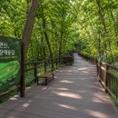 사천리무장애숲길 | 서울 숲길 추천｜서초 우면산 무장애숲길 코스와 이용 후기