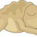 두꺼비 한의원 이미지