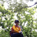 삼박천 Daum카페