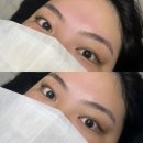 더슈뷰티
