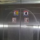 인화오벨리아 이미지