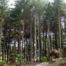 가평황토민박 이미지