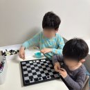 초등 보드게임 자석 체스 후기