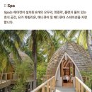 푸시베리 | W17. 몰디브 ‘에메랄드 파루푸시’ 리조트 계약 완료! 근데 이제 두바이 폭격 이슈를 곁들인...