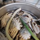살찌는집 - 홍성군 조양로119번길 14 | 봄 알베기 꽃게 제철 제대로 즐기기! 집에서 꽃게 찌는 법 + 꿀팁 후기
