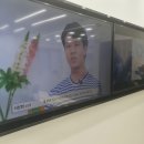 대전세종3D