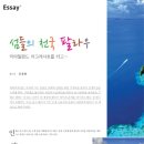 스쿠버마린아일랜드