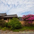 우복종택 | 경북 상주 - 우복종가(愚伏宗家)