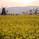 초동초등학교 이미지