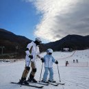 3246 | 무주스키장 초보 렌탈샵 이용 후기 헬멧 의무화