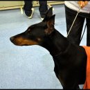 대구전시컨벤션센터 이미지