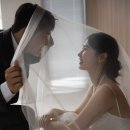 플랜지니 네이버블로그