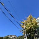 청운효자동 북카페 | 서촌나들이 | 더숲초소책방, 킴모어, 토리, 박노수미술관 | 인왕산북카페, 서촌맛집, 서촌빵집, 서촌전시