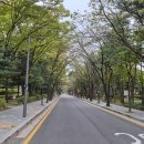 방아다리근린공원 이미지