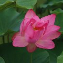 연꽃마을4단지 이미지