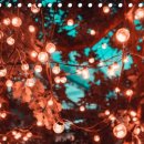 성동경희한의원 이미지