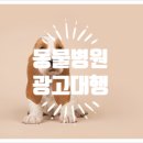 위너동물병원 이미지
