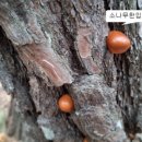 문방3리마을회관 이미지