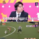 조이도그