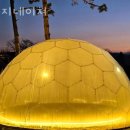 코지네이쳐 이미지