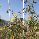 김영범농장 이미지