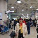 표선면-7 이미지