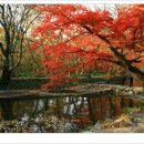 명 자동차정비공업사 이미지