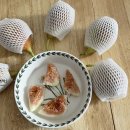 영오농장 이미지